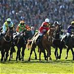 bet online grand national 2019